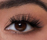 Cils magnétique volume mixte